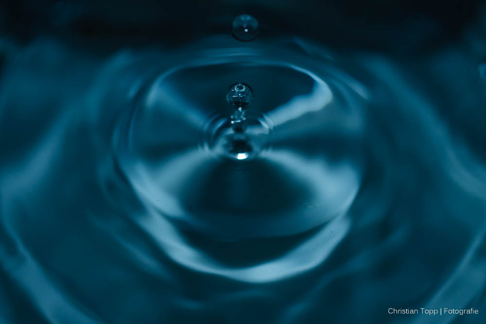 #51/365 Drop