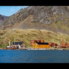 5175TZ  Segelschiff  vor der Walfangstation Grytviken Südgeorgien Panorama verkl