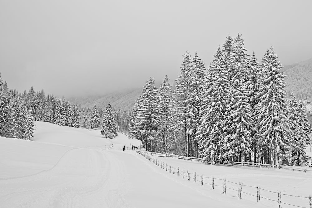 Snow paths von Harald Nezbeda