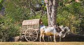 Das nachhaltigste Taxi der Welt by Ruedi of Switzerland