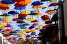 Regenschutz ? von Gernot Disselhoff