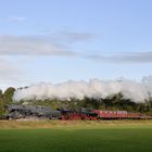 52 3879 + 52 8139 am 08.09.19 bei Terrug naar Toen in Beekbergen III