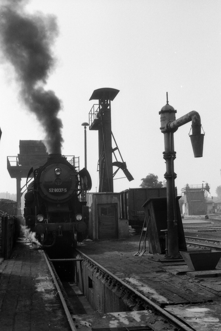 52 8037 im Bw Hoyerswerda