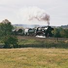 52 8080 auf dem Weg nach Zittau