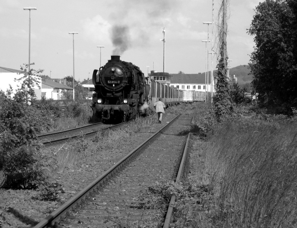 52 8134-0 mit Holzzug in Fröndenberg