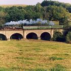 52 8195 auf dem Mandau-Viadukt