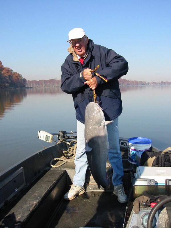 52 pound catfish