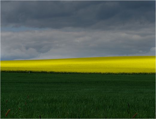 52 Wochen aufgenommen 14.45. / 4.5. 2009 in Himmighofen