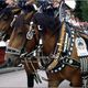 Festumzug in Waltenhofen