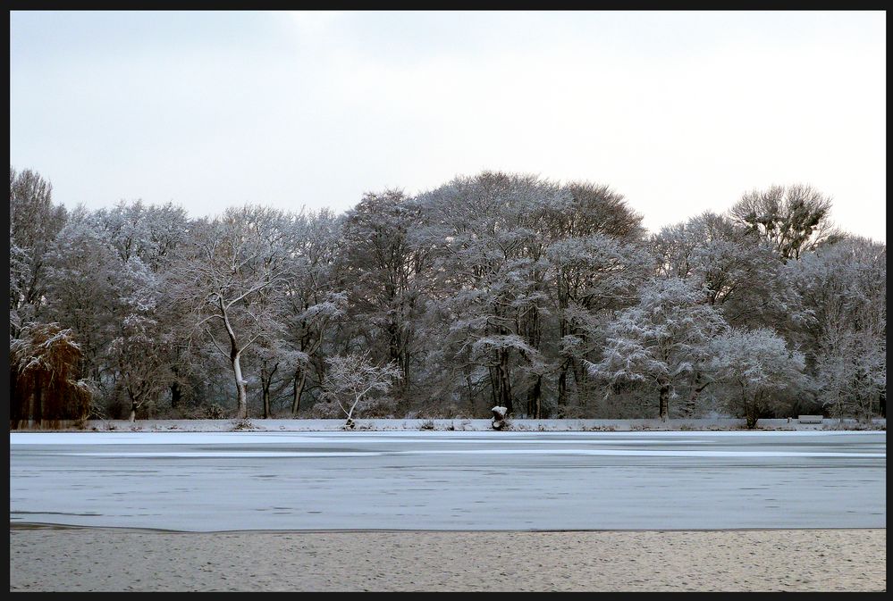 Winterstimmung am Maschsee von Francis Bee