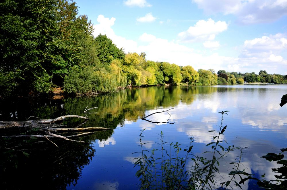 Adolfosee in Rathheim a.d. Rur von starlight56