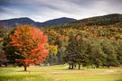 Indian Summer by Michael Matzke 