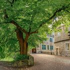 5398SB-5401SB Gerichtslinde Schloss Stadthagen Panorama