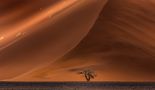 Red Dunes near Sossusvlei, Namibia by Xenia Ivanoff-Erb