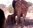 Elephantwatchcamp in der Samburu by buschbaby