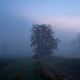 Im Nebel ruhet noch die Welt