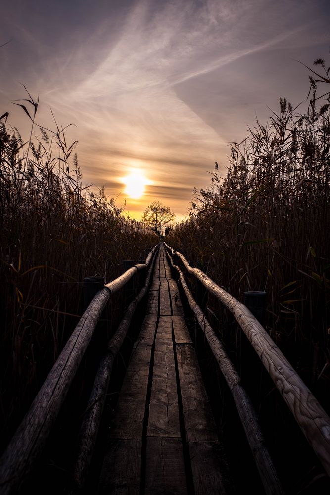 Brücke zum Sonnenuntergang von MMuetze