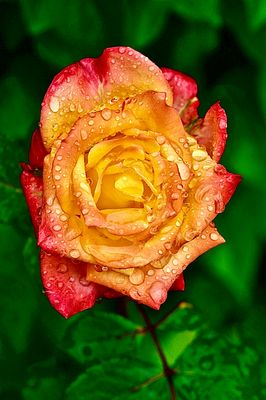 54575DBC-1A29-4476-B352-996677BC078B