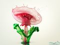Liquid Flower by Markus Reugels 