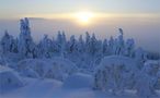 Lapland Jan 2024