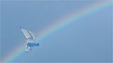 »Somewhere over the rainbow« von ric62