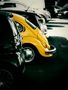 ... yellow bug ...  by Andreas K. Julian