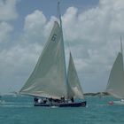 55. Family Island Regatta, Bahamas 2