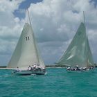 55. Family Island Regatta, Bahamas 4