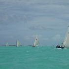 55. Family Island Regatta, Bahamas 5