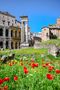 Rom 2777 - am Teatro di Marcello by Frank Diener