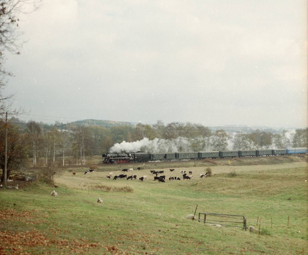 556 0506 im Vogtland