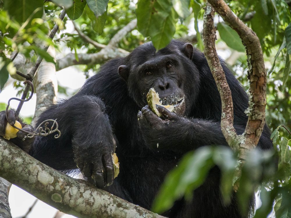 Lunchtime von Kerstin Jacob