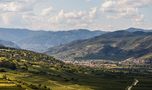 Wachau von Regina Courtier