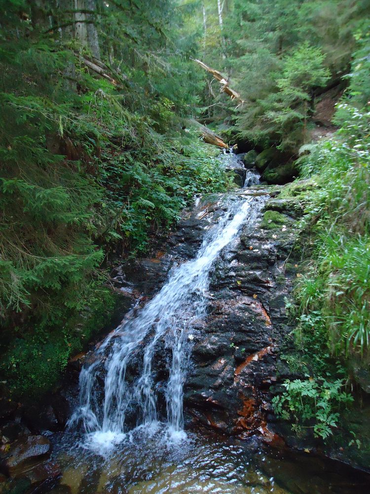 kraftvoller Schwarzwald-Wasserfall von Mc Tobi