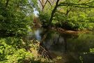 Sonne an der Flussbiegung von Constantin H.