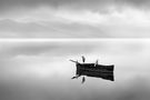 Misty morning in Kerkini Lake by georgedigalakis