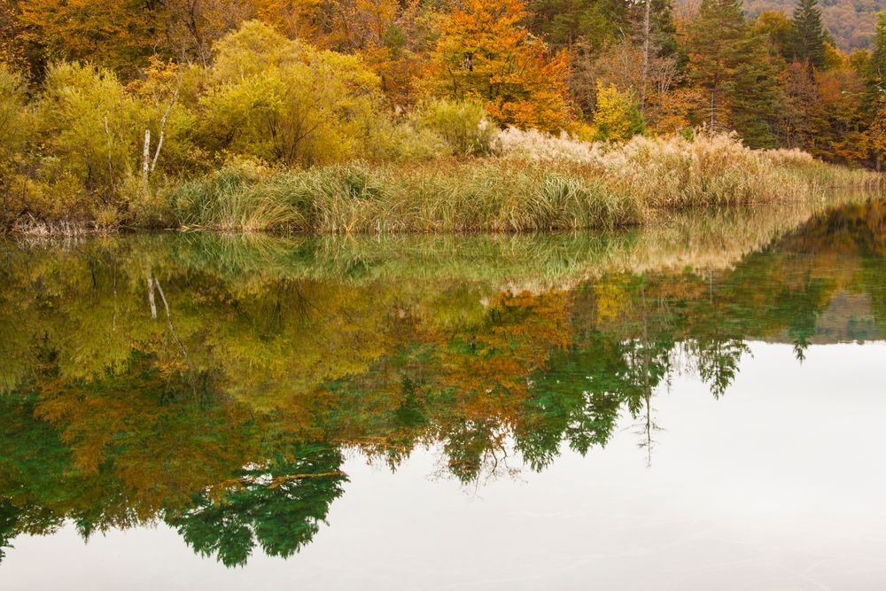 Plitvicersee von Karlheinz Hell