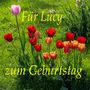 Für Lucy zum Geburtstag von Arthur Baumgartner