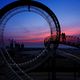 Tiger & Turtle