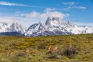 Fitz Roy Massiv by Dietmar Janietz