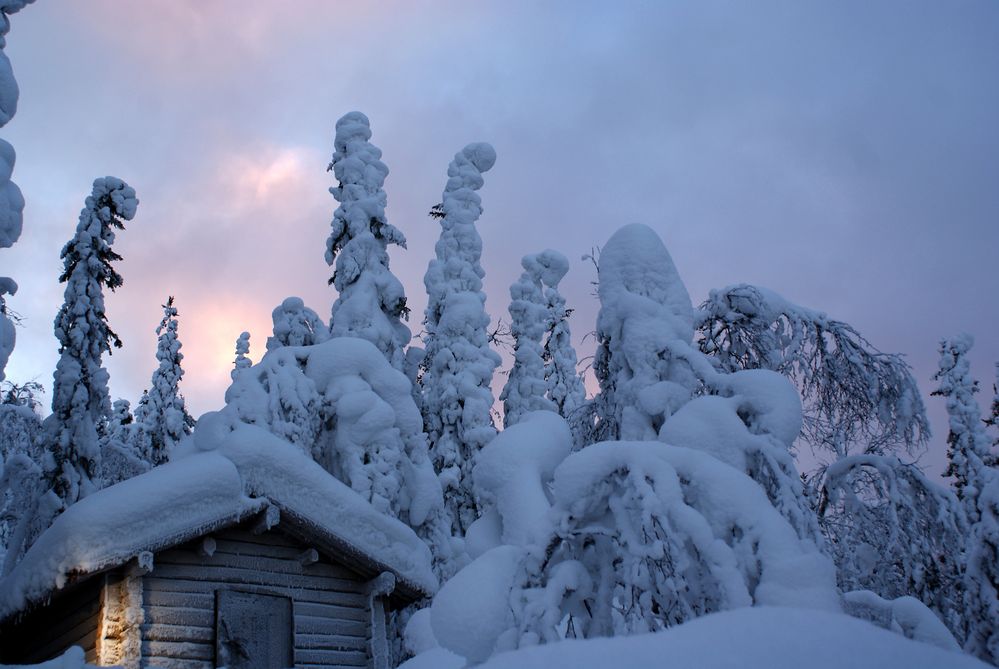 Licht eines frostige Polartages von nordlichtfan 