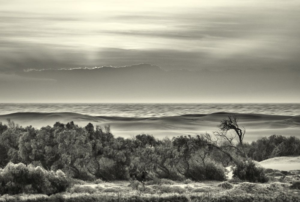 Solitude   de ClaireLaira 