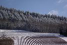 PASSENANS SOUS LA NEIGE ET LE FROID de BUBUL