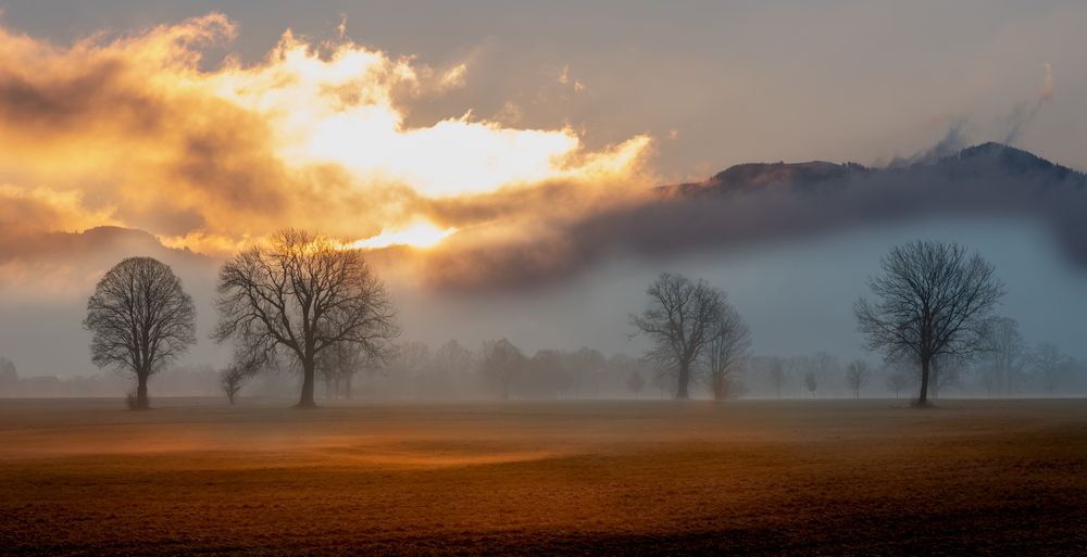 Morgens im Dreisamtal von Heinz Linke