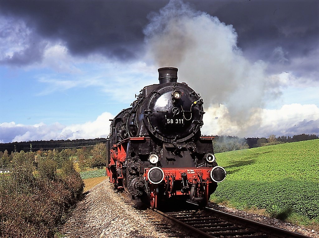 58 311 in Neckarbischofsheim