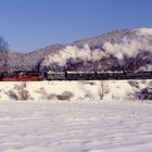 58 311 in Thüringen auf Sonderfahrt