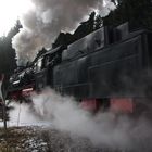 58 311 mit einem Dampfloksonderzug