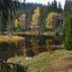 Kleiner Arbersee / Bayrischer Wald