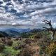 Amanecer en Sant Lloren de Munt