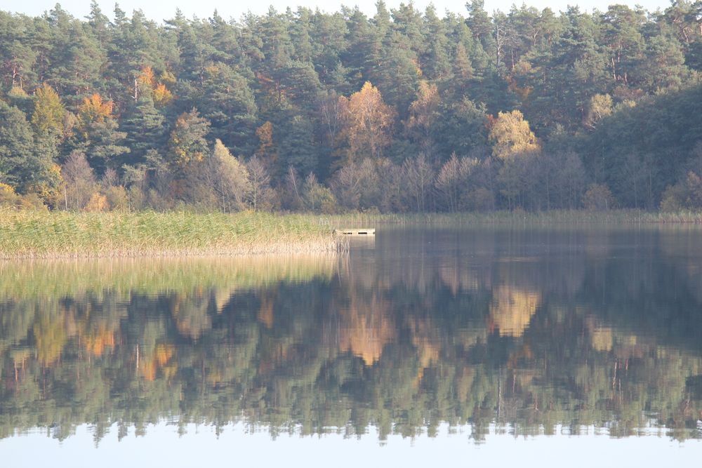 See in der Schorfheide von rabasch